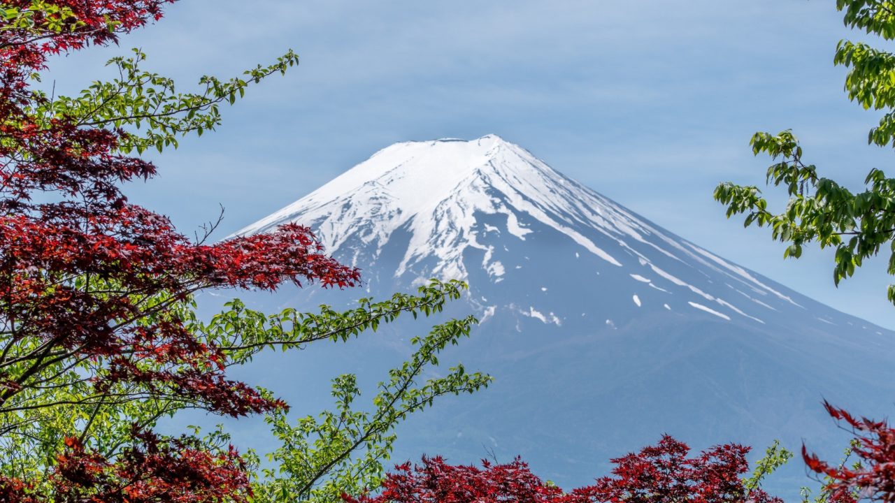 日本でビットコインの普及が遅い